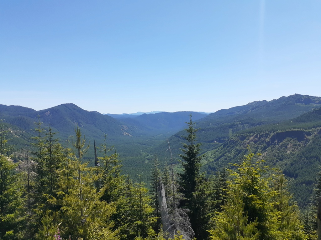 Windy Ridge @ Mt St Helens & other Volcanoes of the Pacific North West 20200714