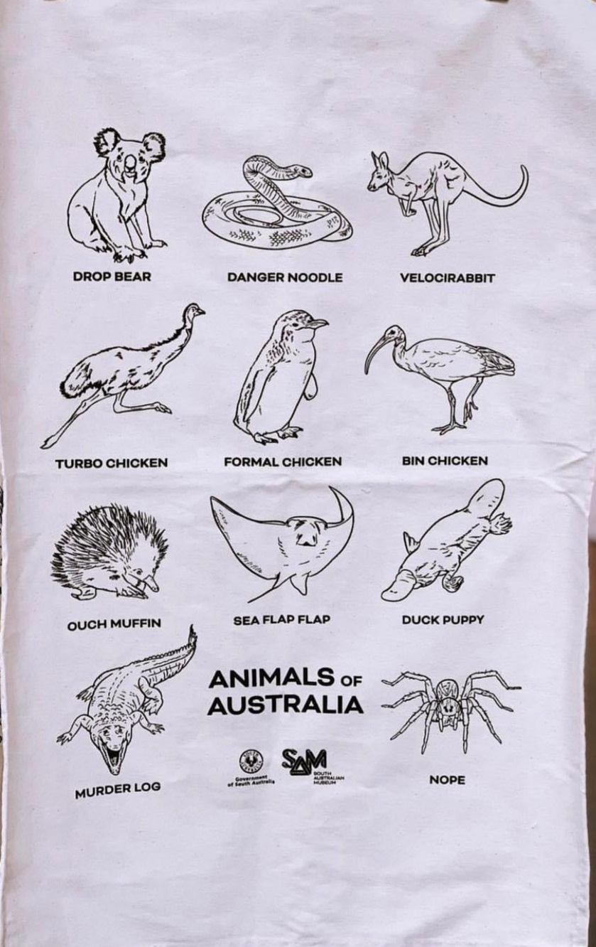 Animals of Australia 20220711