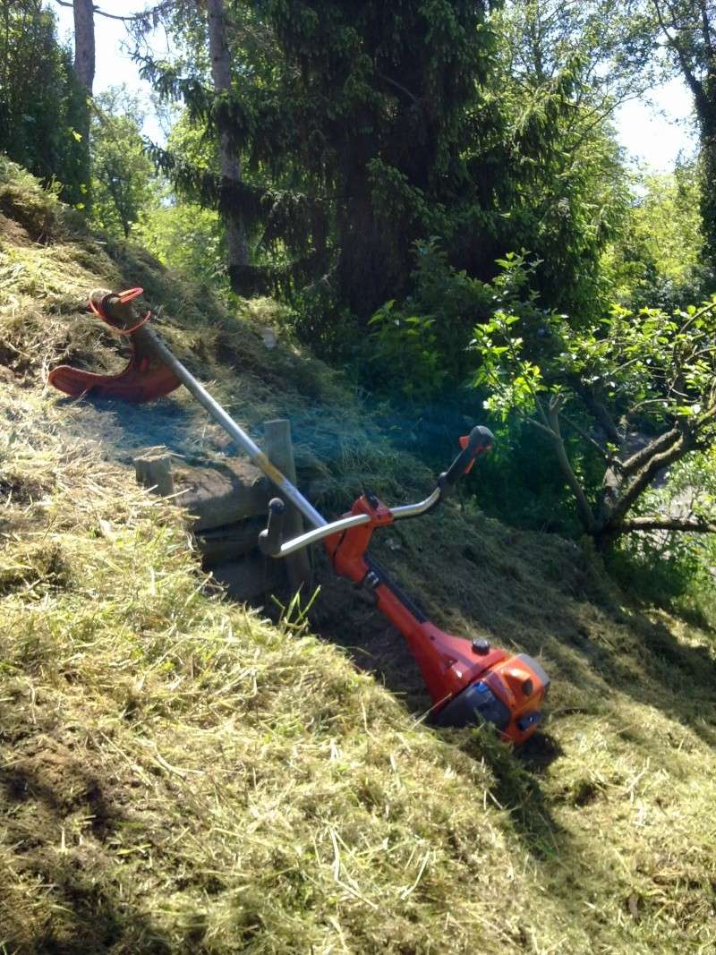 FOTO DEI NOSTRI DECESPUGLIATORI DA LAVORO - Pagina 2 26052013