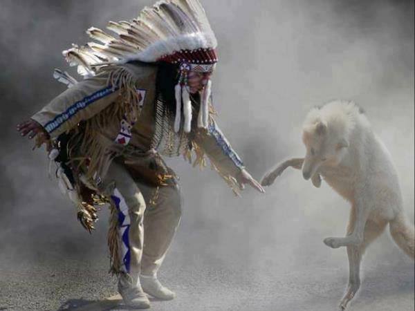 Legende Amerindienne des deux loups. 10111610