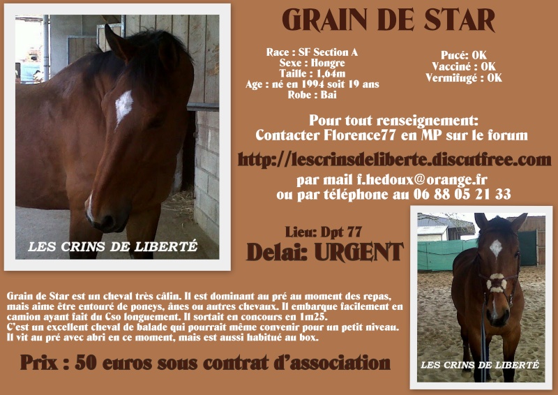 Dépt 77 GRAIN DE STAR SF de 19 ans réservé par Indye - Page 4 Grain_10