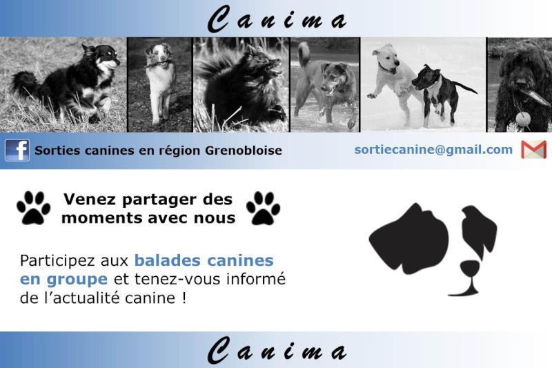CANIMA - Sorties canines en région Grenobloise (Isère, 38) Flyer10