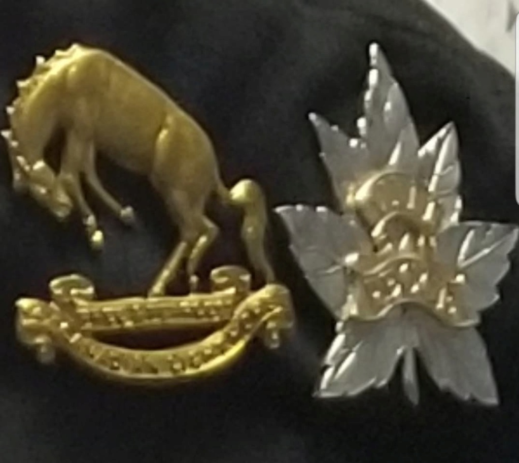 14th Hussars badge 18051010