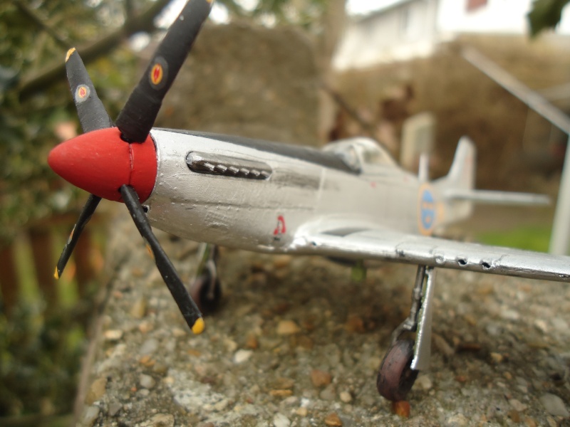 P-51D Airfix  Dsc04822