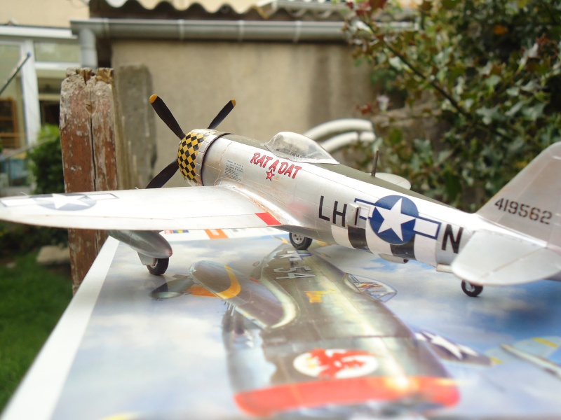 [Hasegawa] P-47D-25  Dsc05614