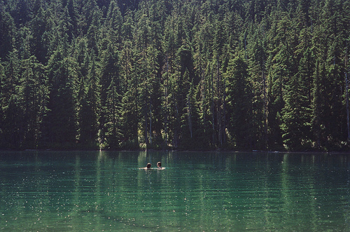 Der See im Wald See10