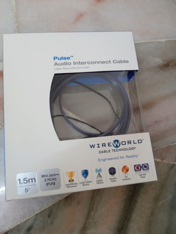 Wireworld Pulse Mini Jack to RCA cable (Sold) 20220213