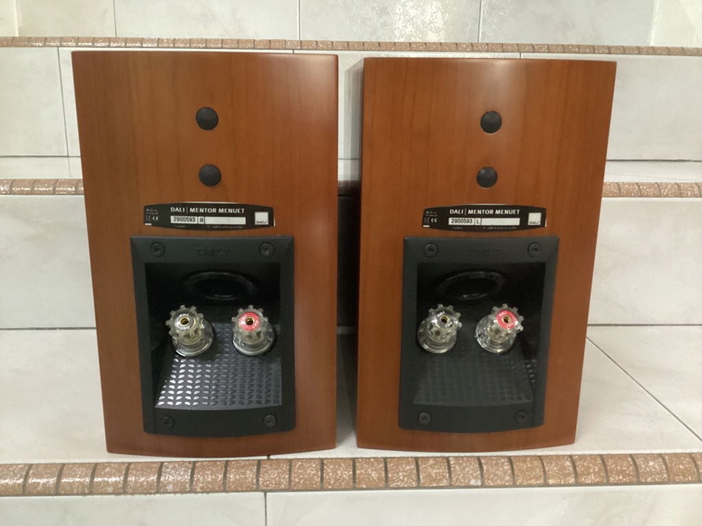 Dali Mentor Menuet speakers (Sold) Ca1f6d10