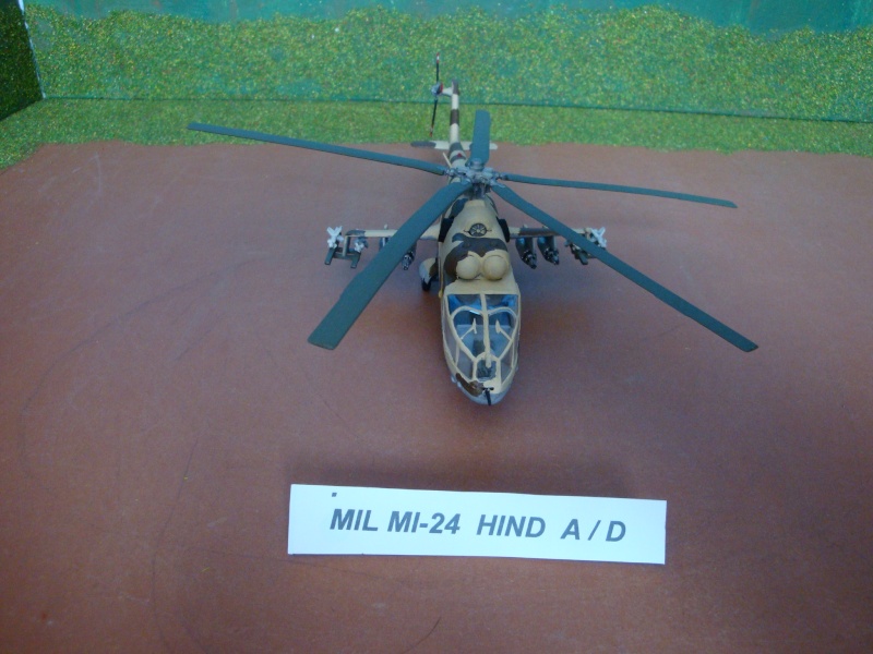 Hélicoptére soviétique MIL Mi-24 Hind-A/D [ ITALERI 1/72° ] Dsc03568