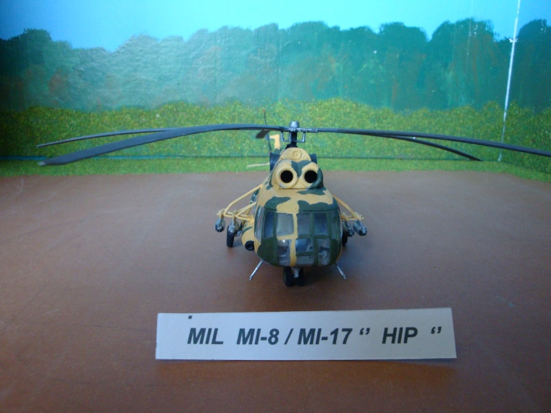 Hélicoptère soviétique MIL Mi-8/Mi-17 Hip  [ ITALERI 1/72° ] Dsc03713