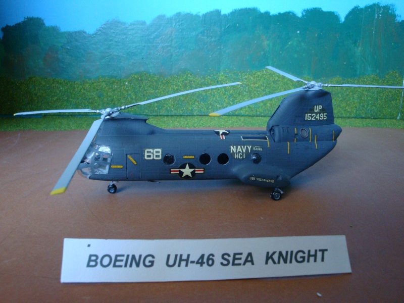 Hélicoptére américain BOEING UH-46 Sea Knight  [ AIRFIX 1/72° ] Dsc03737