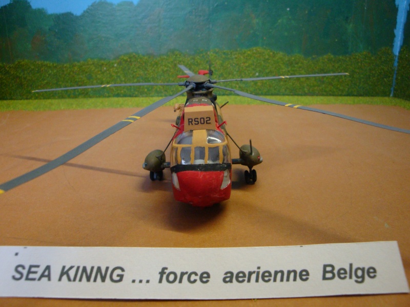 hélico  BELGIQUE  italérie  1/72  SEAKING...Force aérienne Belge Dsc03897