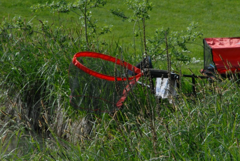 Récit de la sortie au Carpodrome de la Prairie..Mercredi 8 mai 2013 Dsc_0940