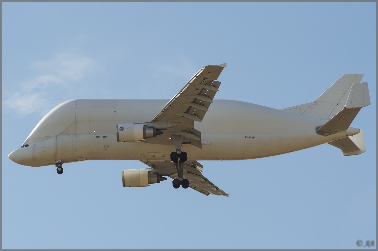 Spotting du 27/05/2013 : Beluga (F-GSTF) _dsc8119