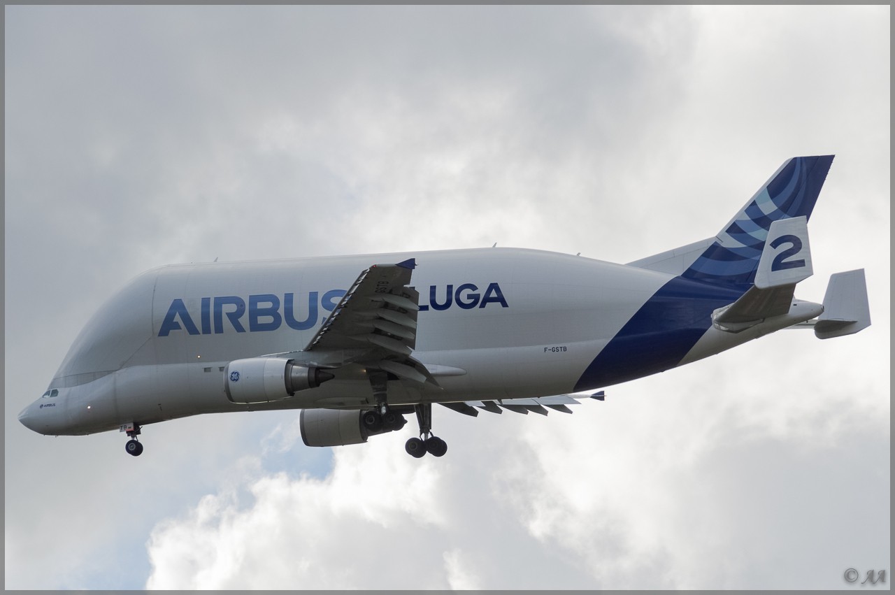 Spotting du 29/05/2013 - Beluga (F-GSTB) _dsc8213