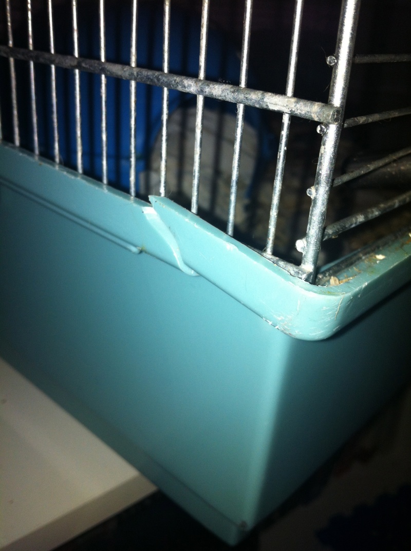 Vend cage  Img_1310