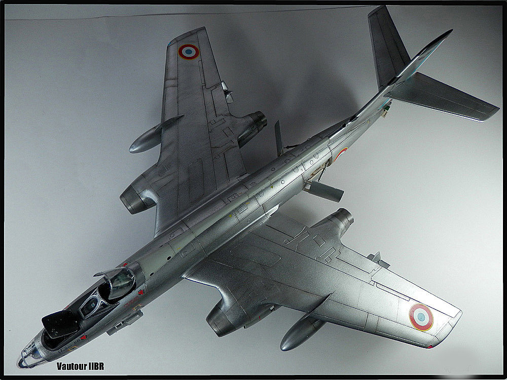 Un nid de Vautour - FM - HI TECH 1/48e P2240712