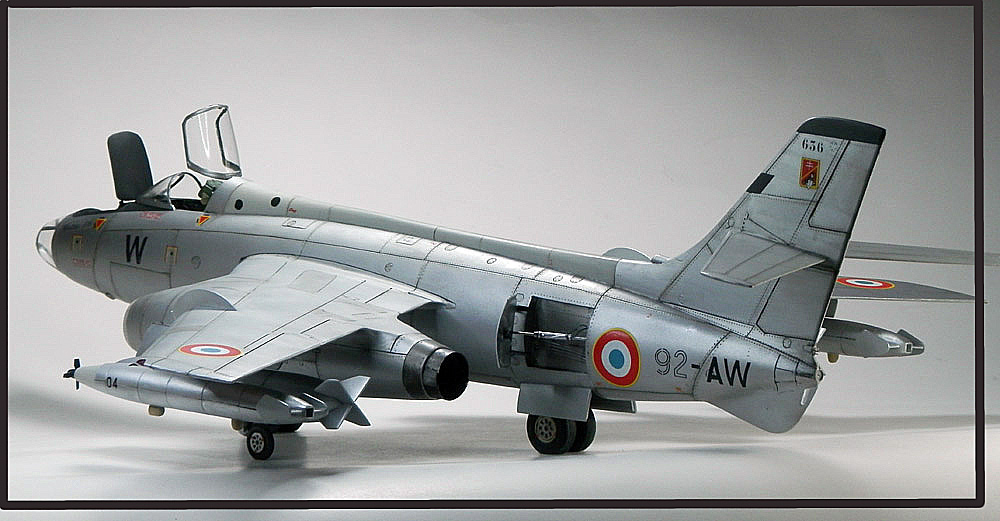 Un nid de Vautour - FM - HI TECH 1/48e Pc203012