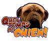 Un plus pour nos chiens Thumb_10