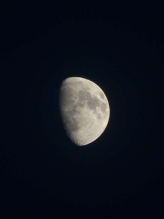 Lune dévoilée (+ ajout+s)  Pt_p2111
