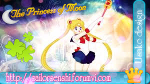 [Picture]Sailor Moon Card by Sailor Senshi FC 29451510