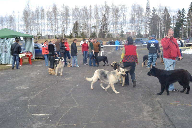 28-04«Серебряный Апрель 2013» Dsc_0519