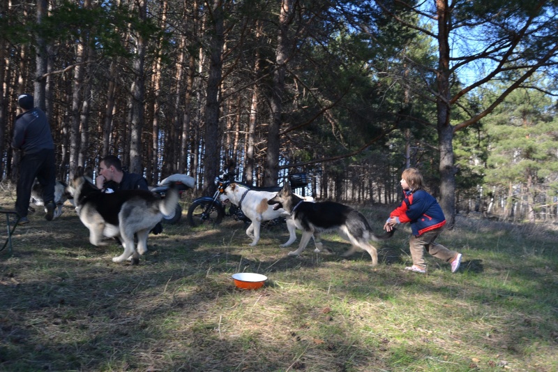 Майская встреча Dsc_0915