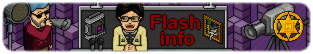 Flash Information