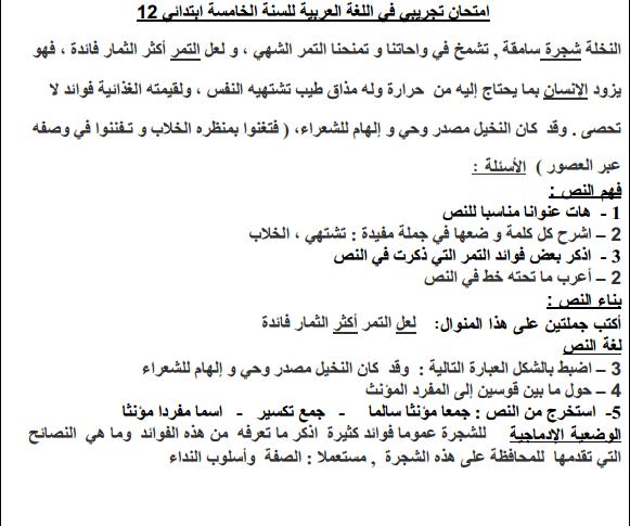 امتحانات تجريبية في مادة اللغة العربية للسنة الخامسة ابتدائي Arabe113