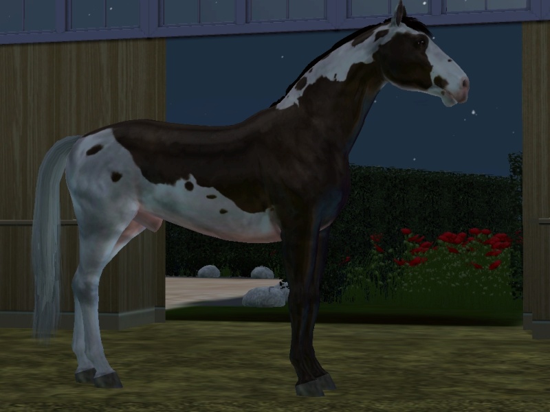 Surbrillance des chevaux dans le jeu. Screen13