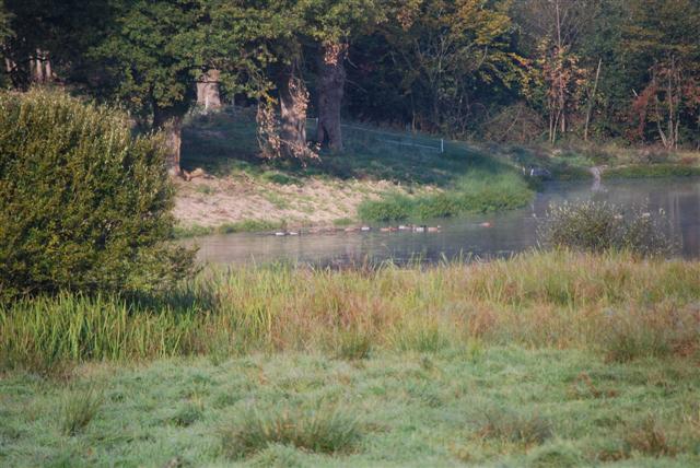 un matin d'ouverture en Bourbonnais Photo_21