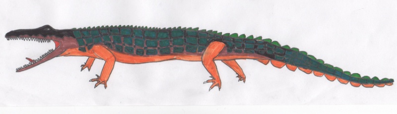 Triginosuchus Img01310