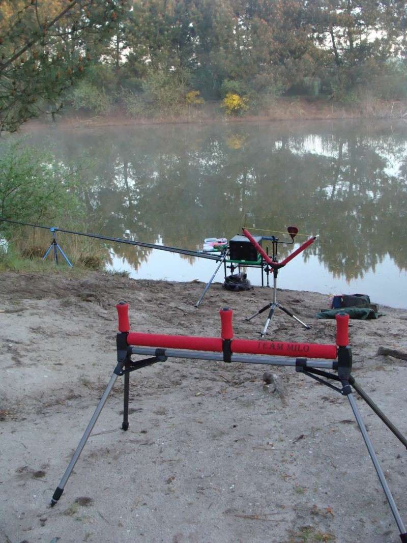 LE FEUILLETON "les etangs de la barreyre" Dsc09922