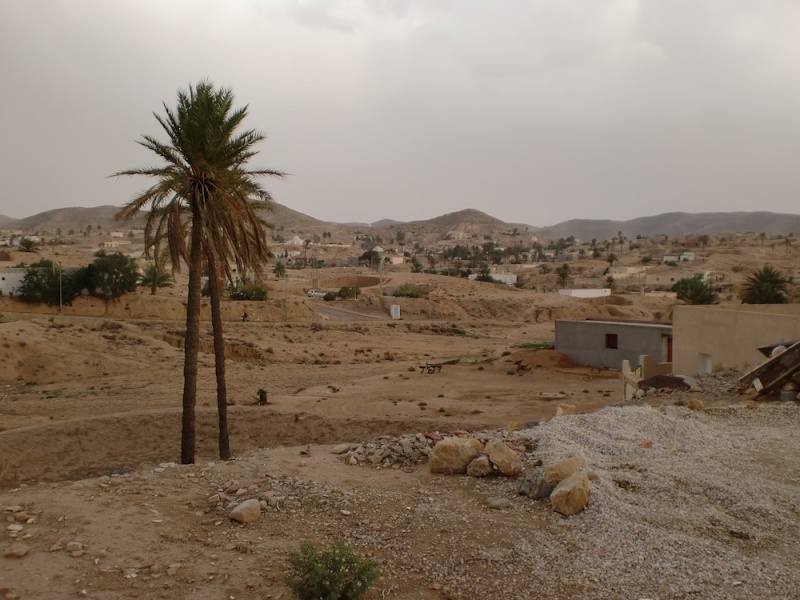 Raid Tunisia 2013 - Il report e il trailer - Pagina 2 Cimg2910