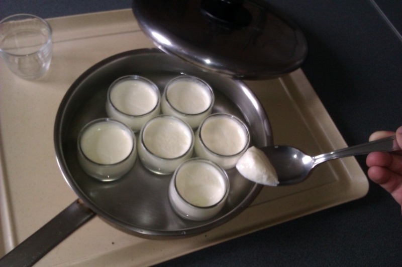 faire ses yaourts (vache ou soja) Bifidu10