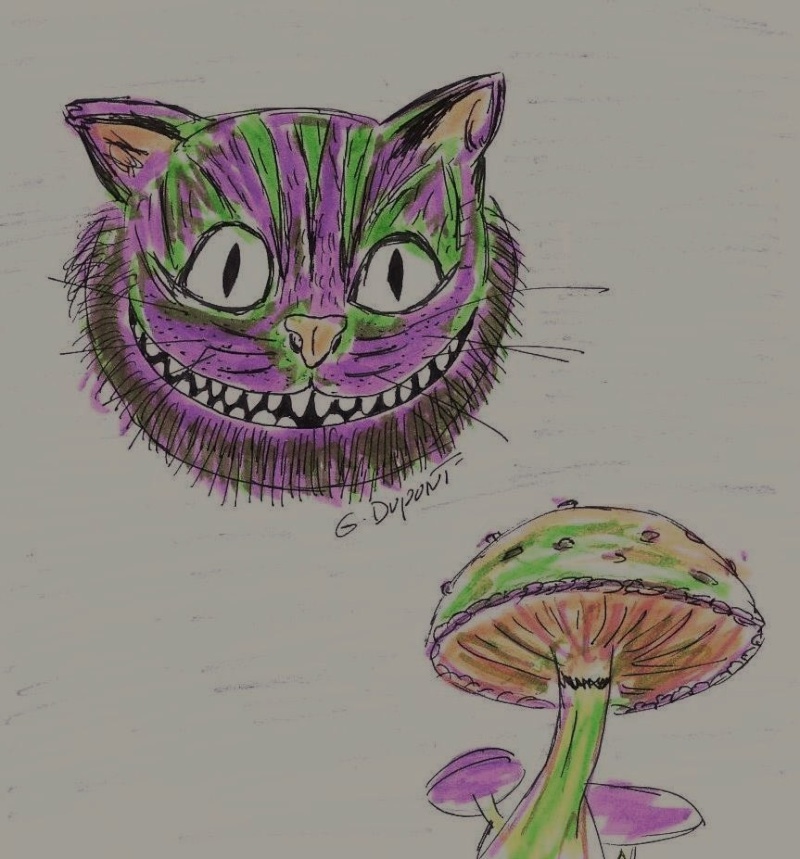 My drawings ! Cat10