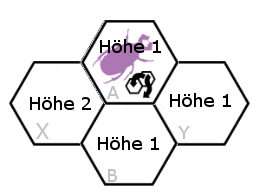 Regelfrage Höhe Kaefer10