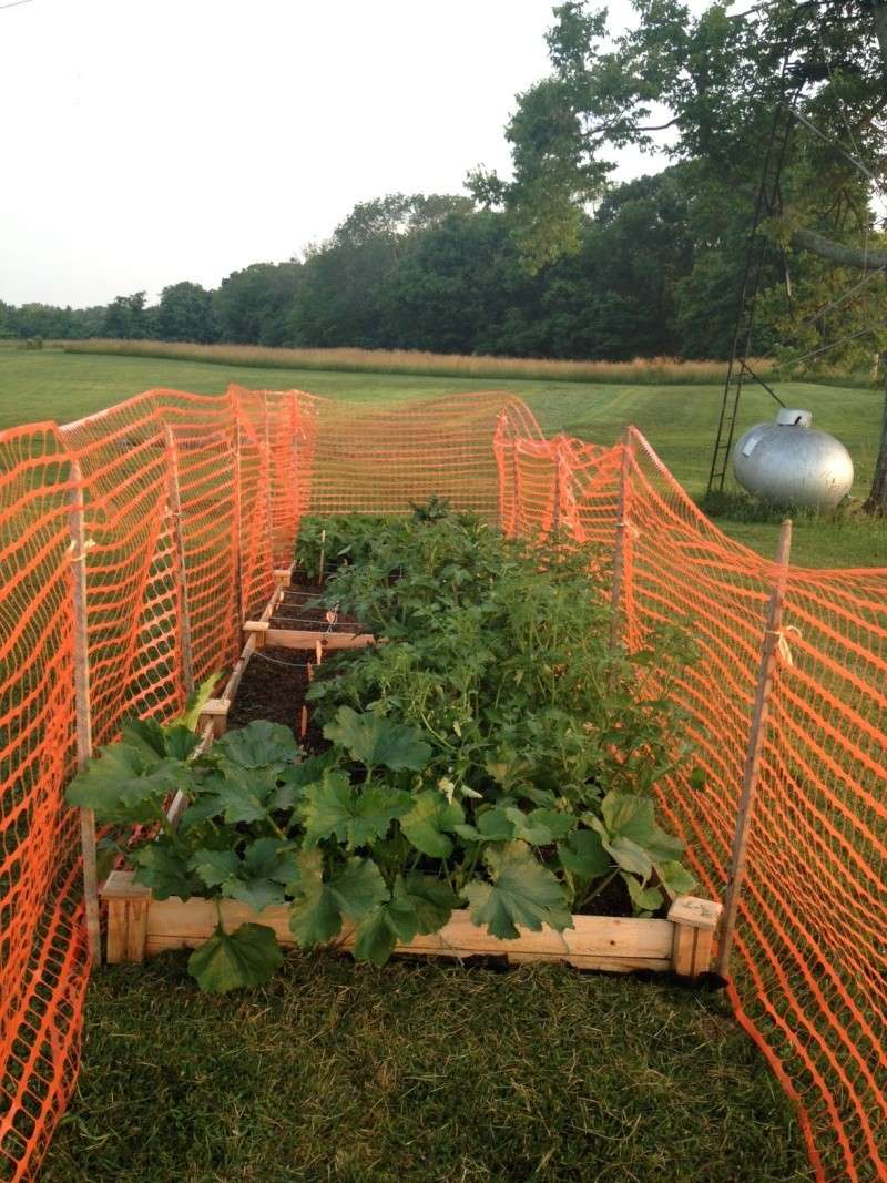 First SFG - Northern KY Area. Garden22