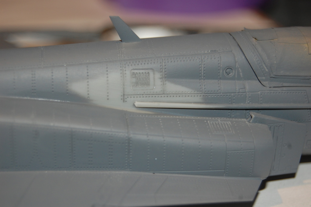 F-20 Tigershark 1/48 - Freedom Model Kits - Page 2 Dsc_3045