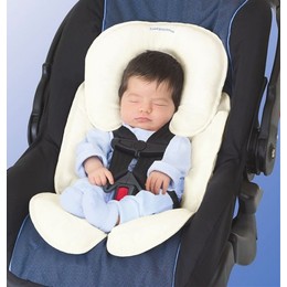 Reducteur Cosy Bebe Confort Streety Fix Cheaper Than Retail Price Buy Clothing Accessories And Lifestyle Products For Women Men