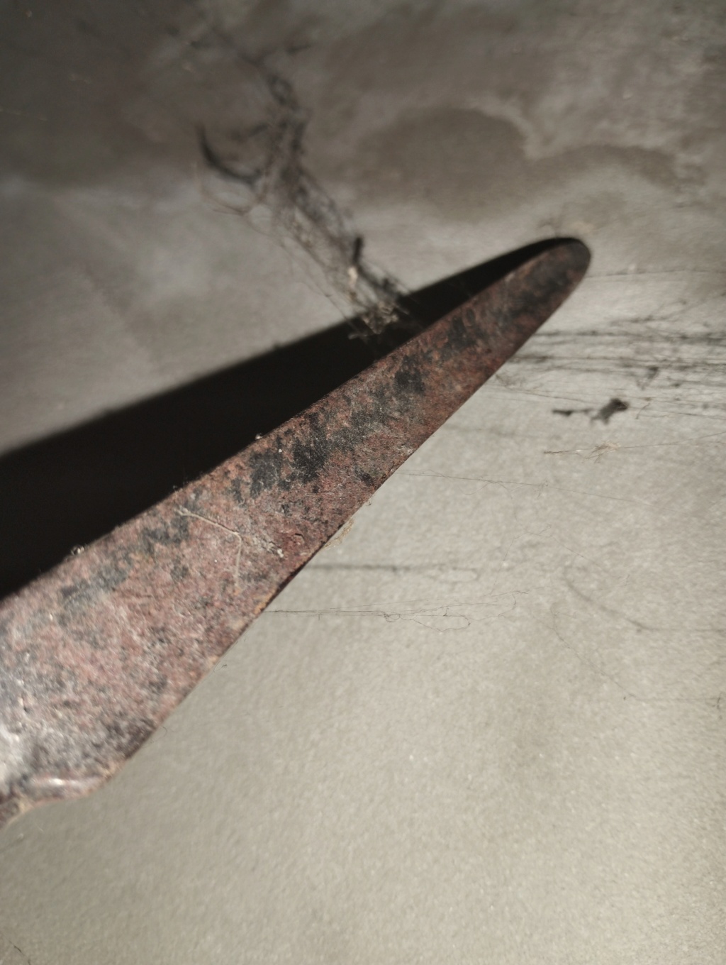 Lances cavalerie Img_2178