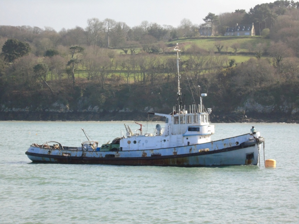 [Vie des ports] LE PORT DE DOUARNENEZ - Page 36 Dz214