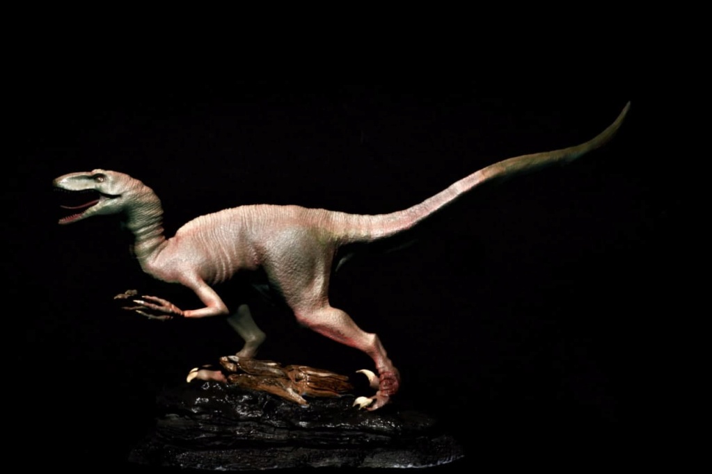 Velociraptor 3D Photo121