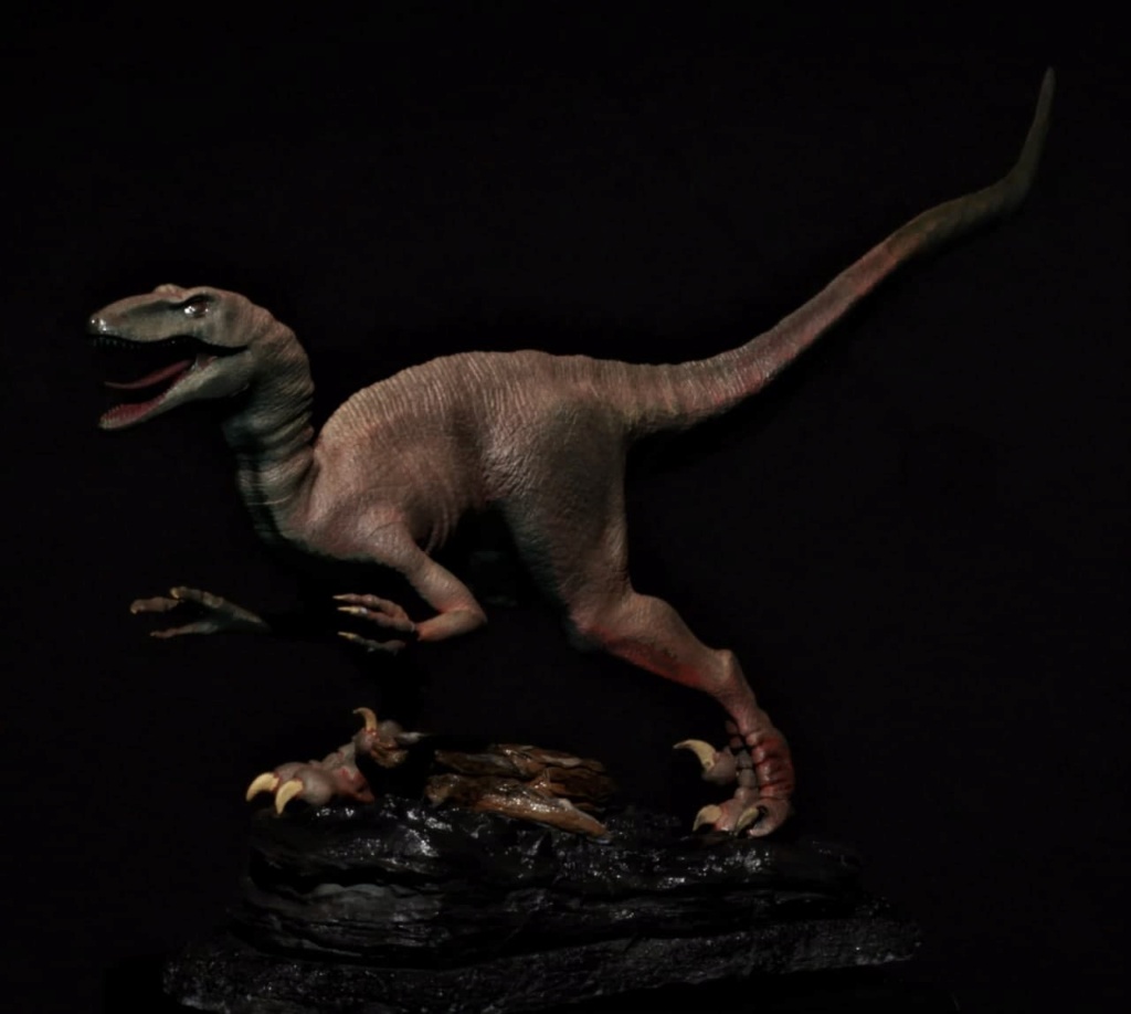 Velociraptor 3D Photo122