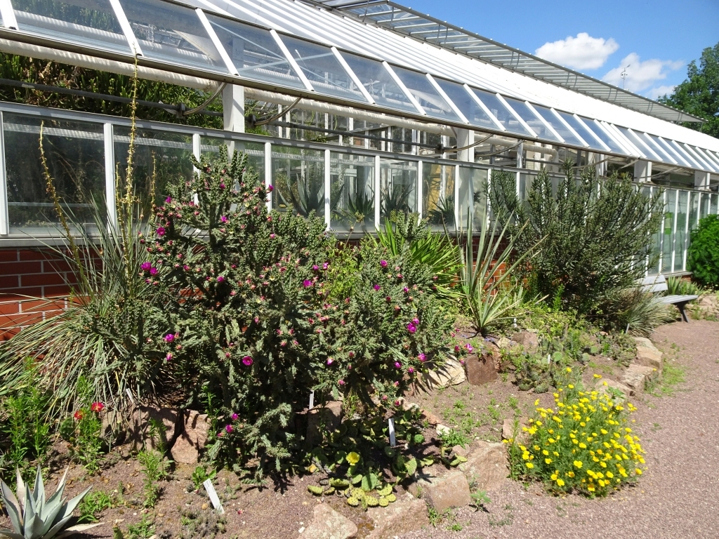Botanischer Garten Halle/Saale