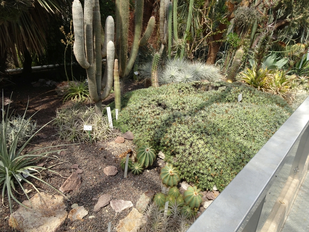 Botanischer Garten Halle/Saale Dsc01041