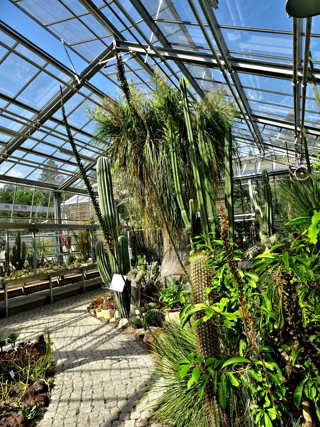 besuch - Besuch im Botanischen Garten der Universität Potsdam Dsc02978