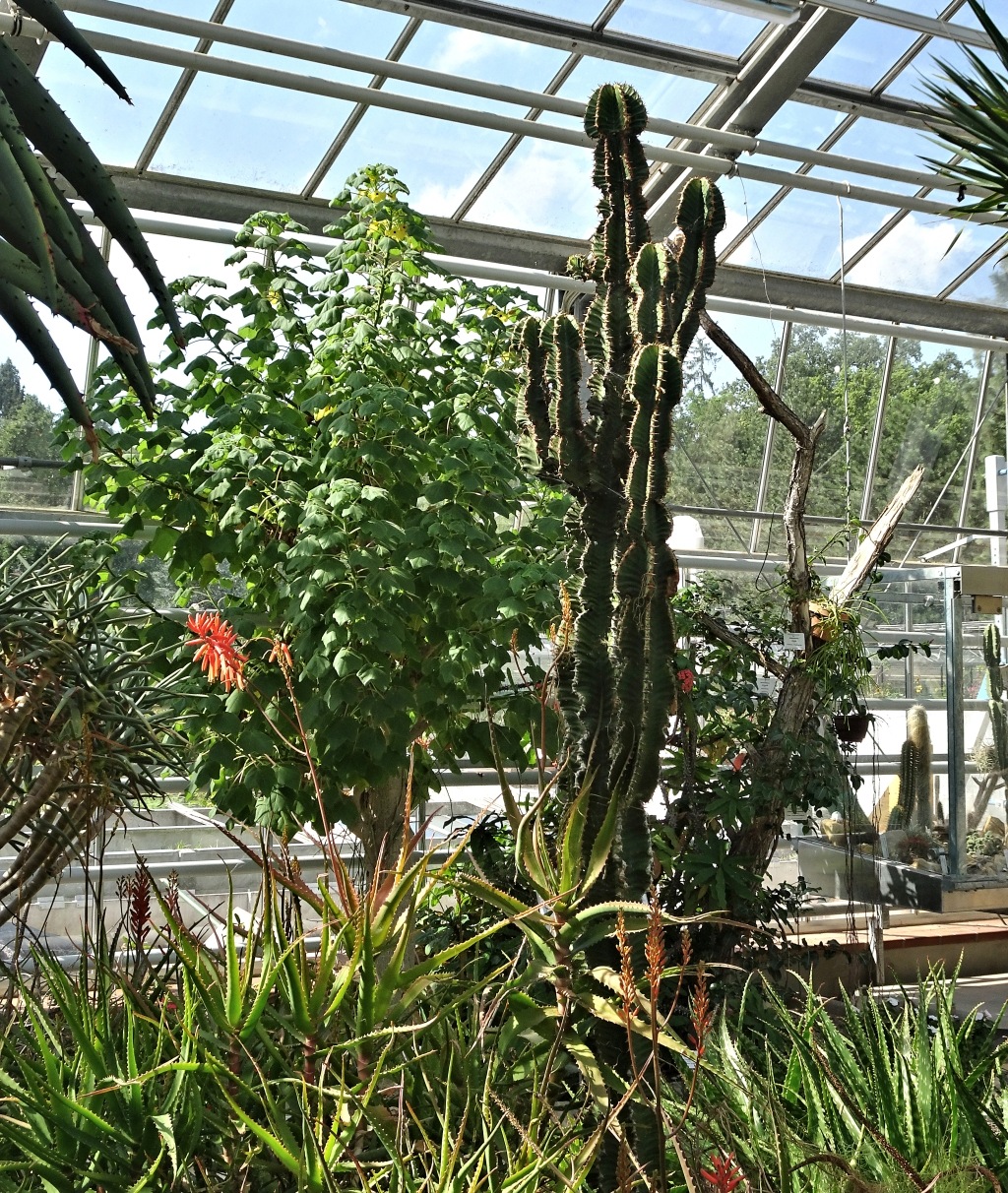 besuch - Besuch im Botanischen Garten der Universität Potsdam Dsc03030