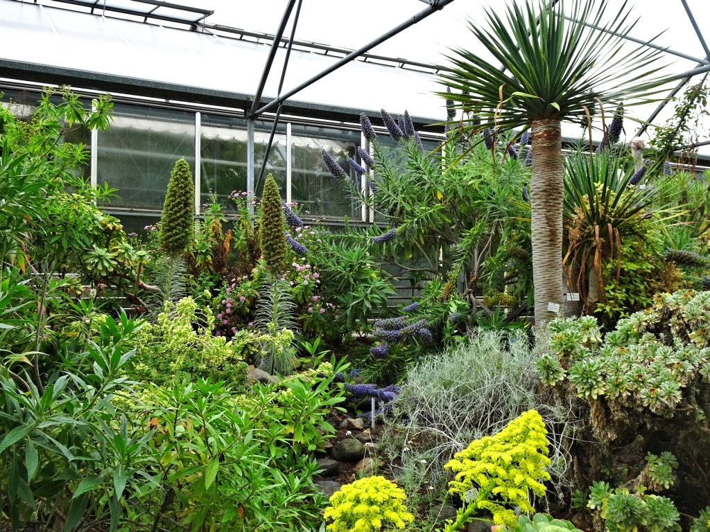 besuch - Botanischer Garten Dresden Dsc04634