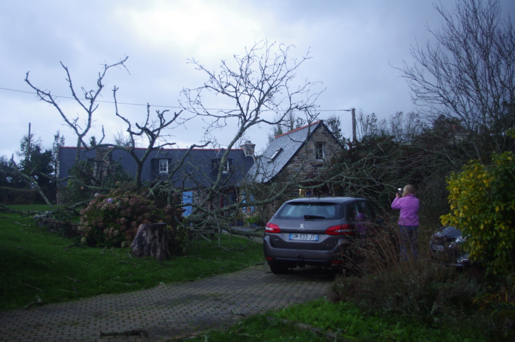 Tempête CIARAN...... Imgp8511